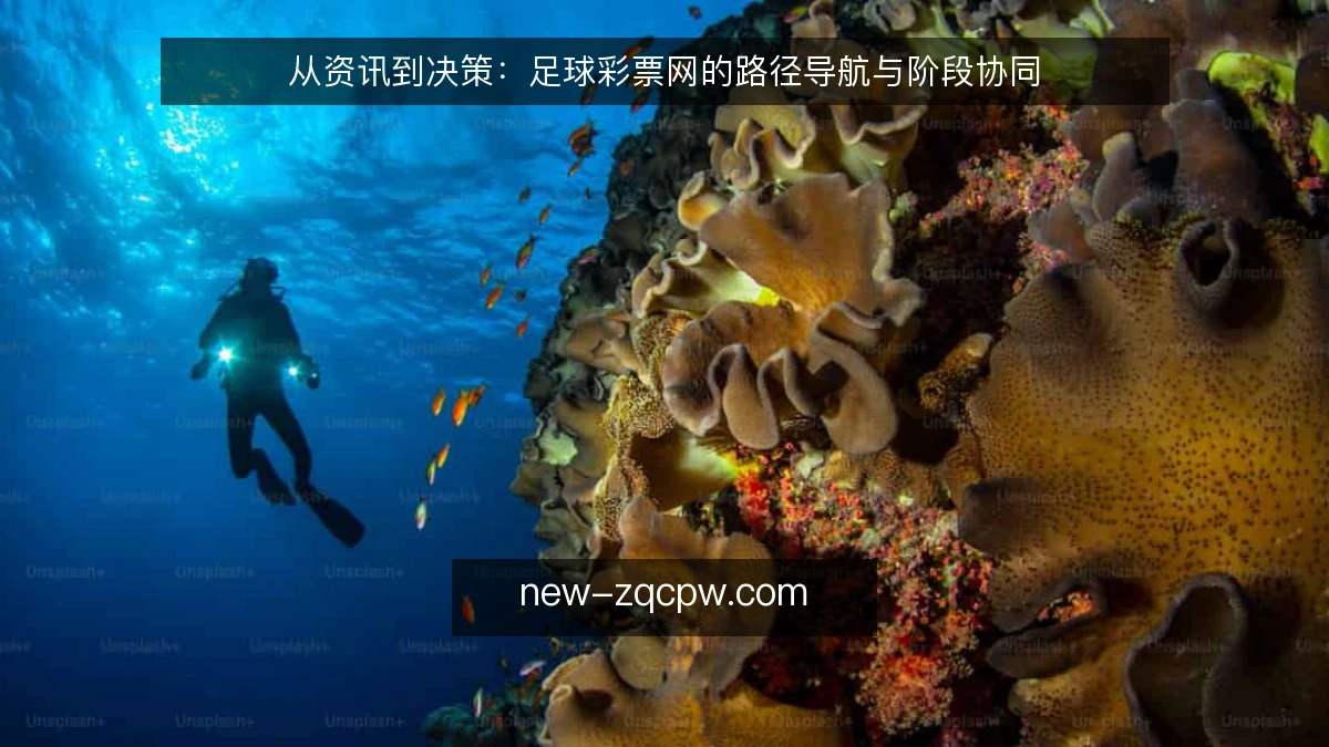 从资讯到决策:足球彩票网的路径导航与阶段协同
