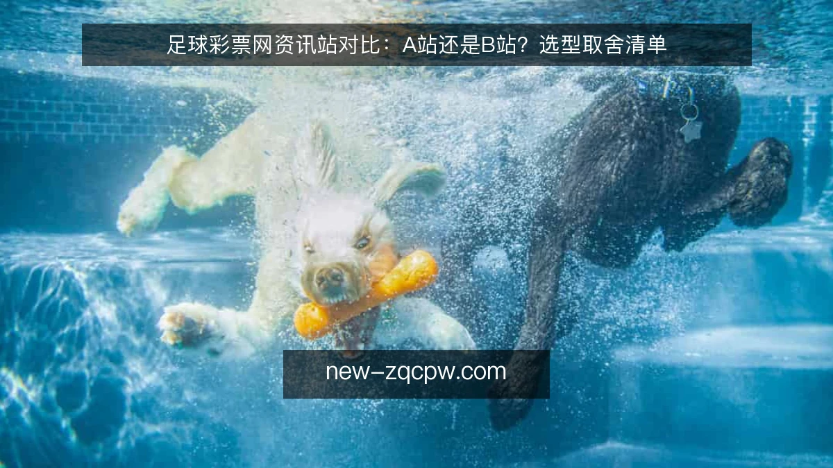 足球彩票网资讯站对比：A站还是B站？选型取舍清单